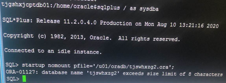 AnyBackup-Oracle 异机恢复环境准备时，启动目标数据库失败，提示 ORA-01127 错误