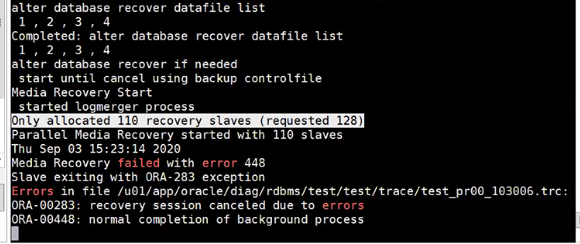 AnyBackup-Oracle 定时备份数据恢复卡住，执行输出停留在“starting media recovery”，且 Oracle alert 日志中提