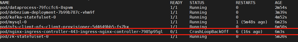 AnyBackup-数据库复制平台部署成功后，nginx-ingress 镜像的 pod 启动失败